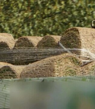 Ogród dominika strzelca Ogród dominika strzelca